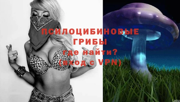 не бодяженный Няндома