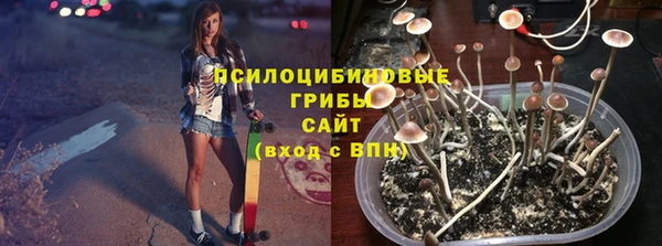 apvp Нягань