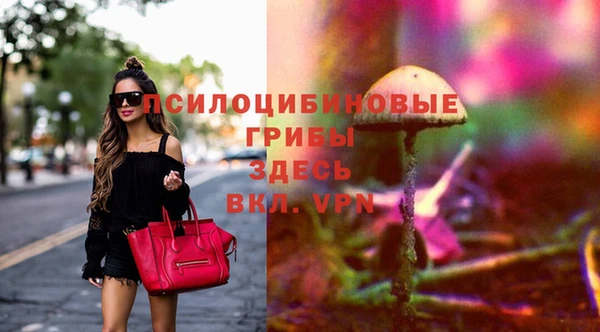apvp Нягань