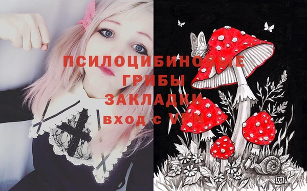 твердый Нязепетровск