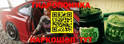 гашик Кандалакша