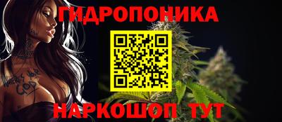 Альфа ПВП Канаш