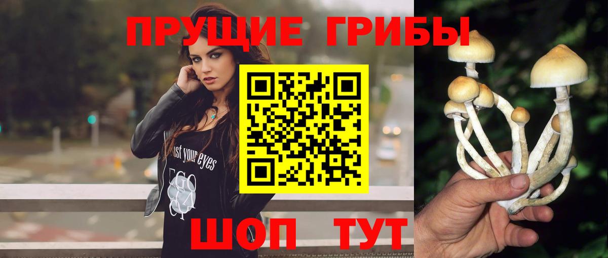 Галлюциногенные грибы GOLDEN TEACHER Обь